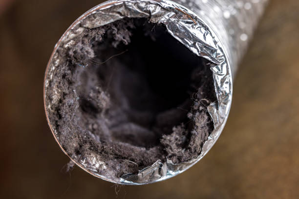 Best Affordable Air Duct Cleaning  in One Loudoun, VA